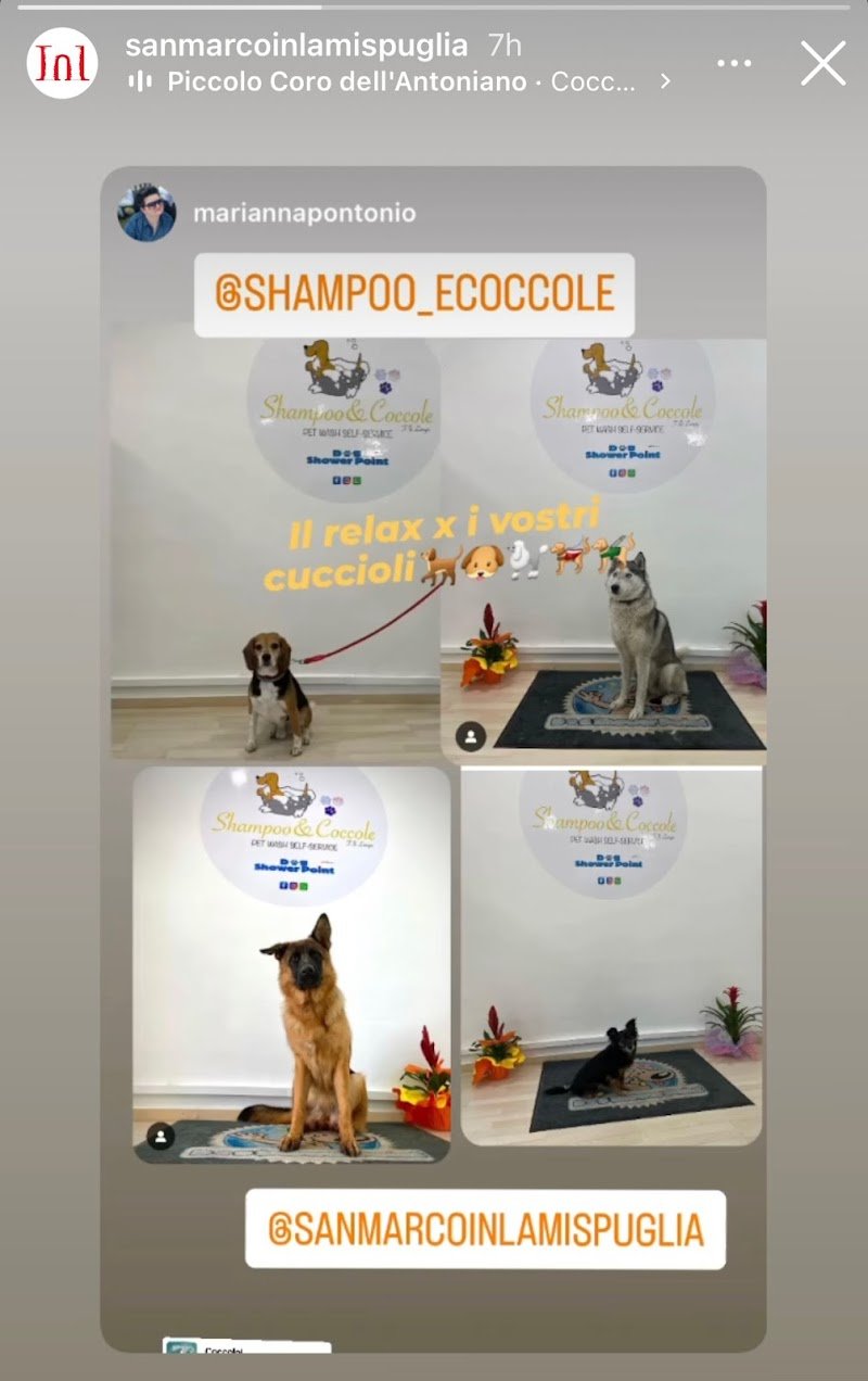 Shampoo&Coccole - Foto 6