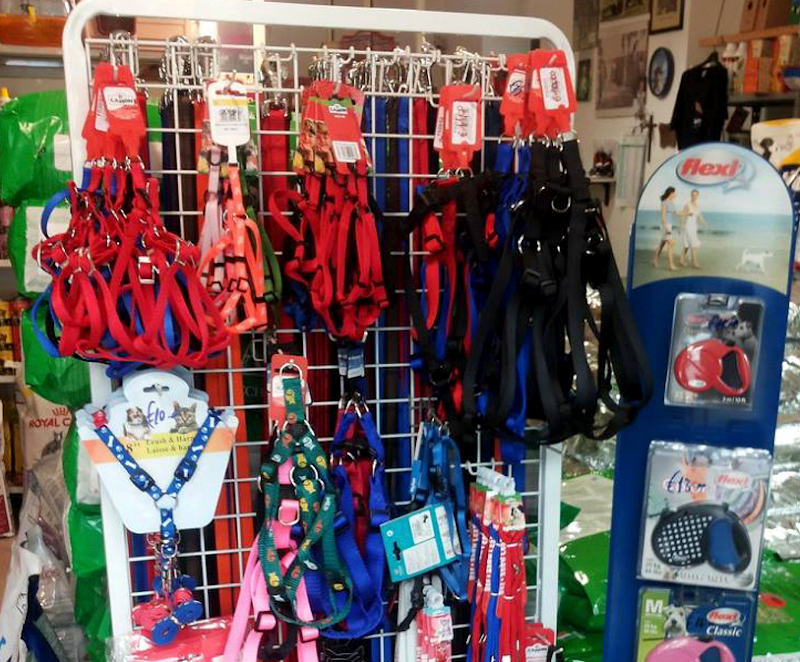 Shopping Dog - Foto 1