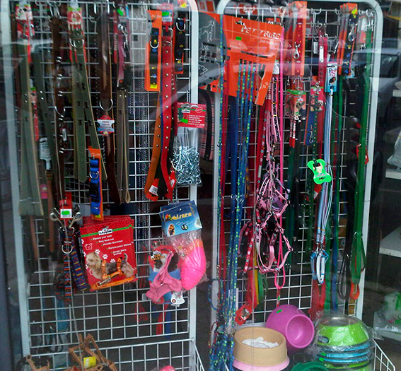 Shopping Dog - Foto 4