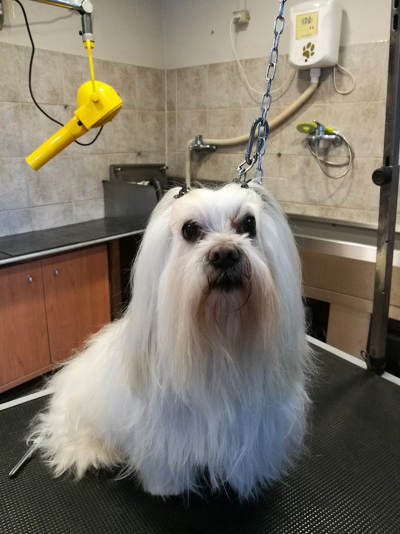 Siamo tutti belli - Foto 3