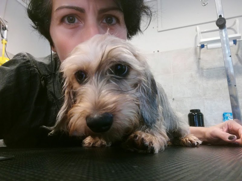 Siamo tutti belli - Foto 4