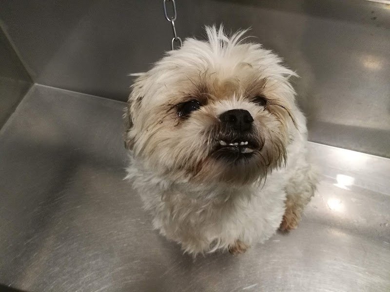 Siamo tutti belli - Foto 5