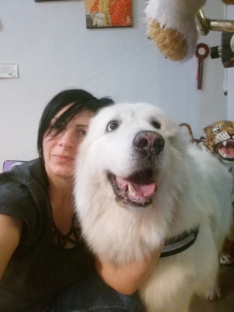 Siamo tutti belli - Foto 6