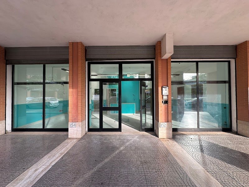 Silvia Zona Toelettatrice - Foto 5