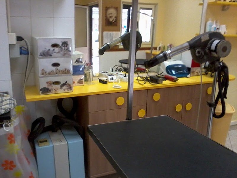 Simpatiche Canaglie Grosseto - Foto 1