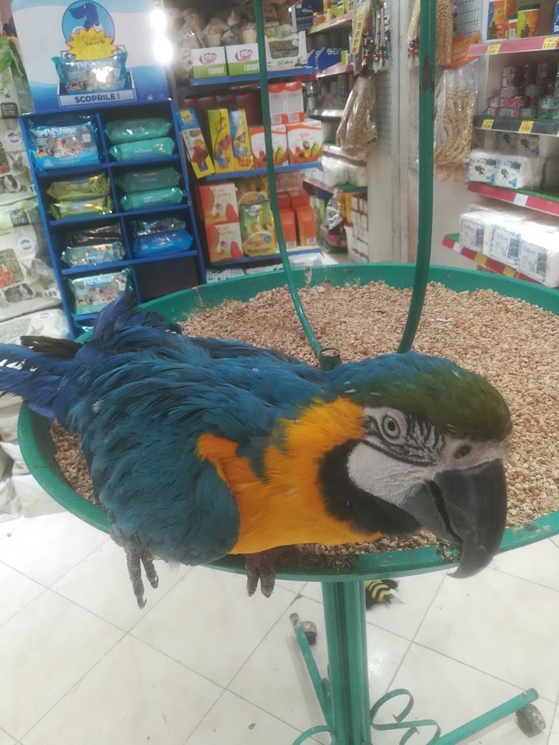 Simpatiche canaglie - Foto 2