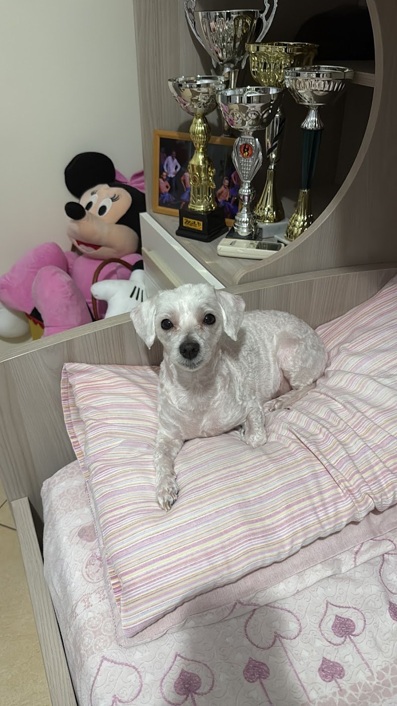 Simpatiche canaglie - Foto 3