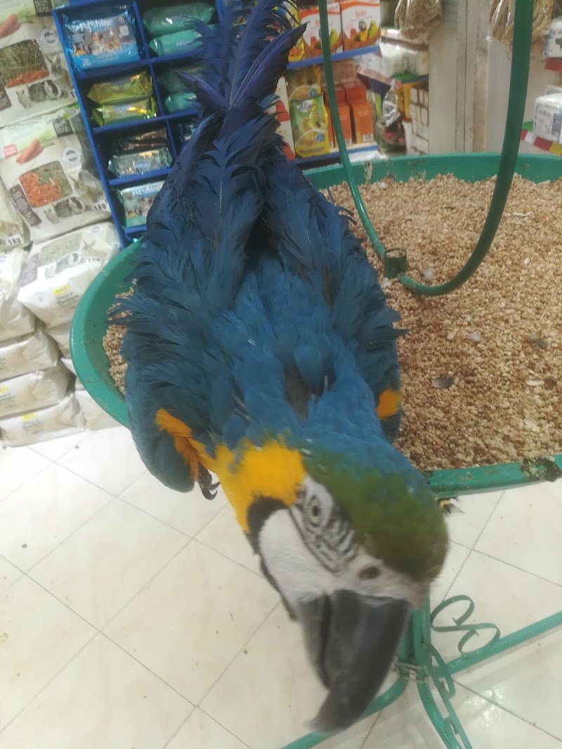 Simpatiche canaglie - Foto 5