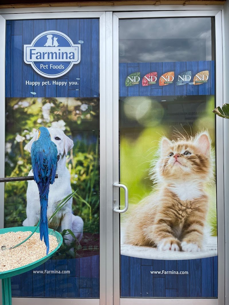 Simpatiche canaglie - Foto 6