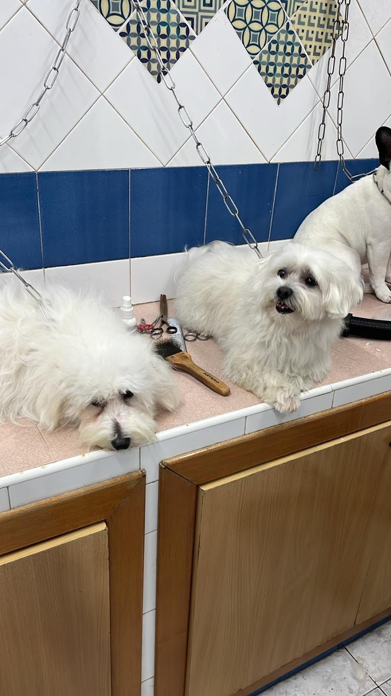 Simpatiche Canaglie - Foto 1