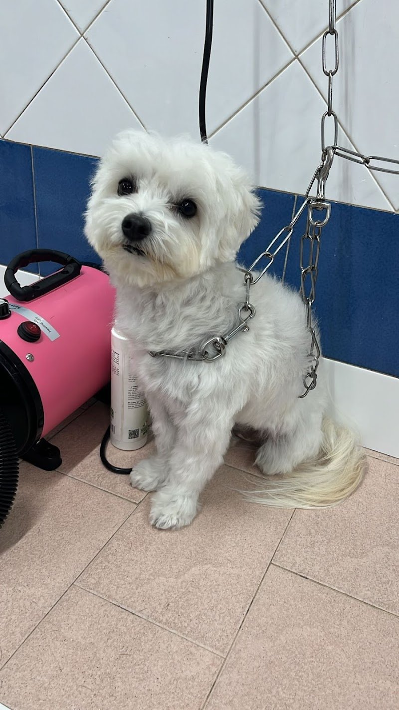 Simpatiche Canaglie - Foto 2