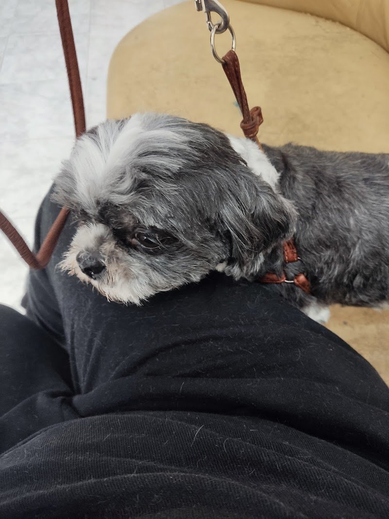 Simpatiche Canaglie - Foto 5