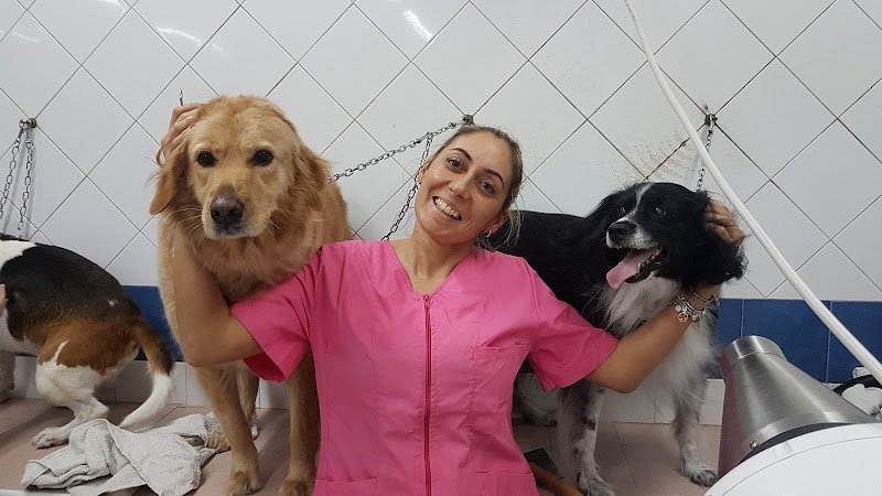 Simpatiche Canaglie - Foto 6