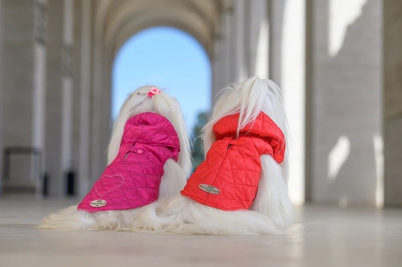 Sleepy and Dolly's Friends - Foto 2