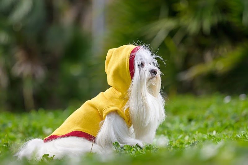 Sleepy and Dolly's Friends - Foto 3