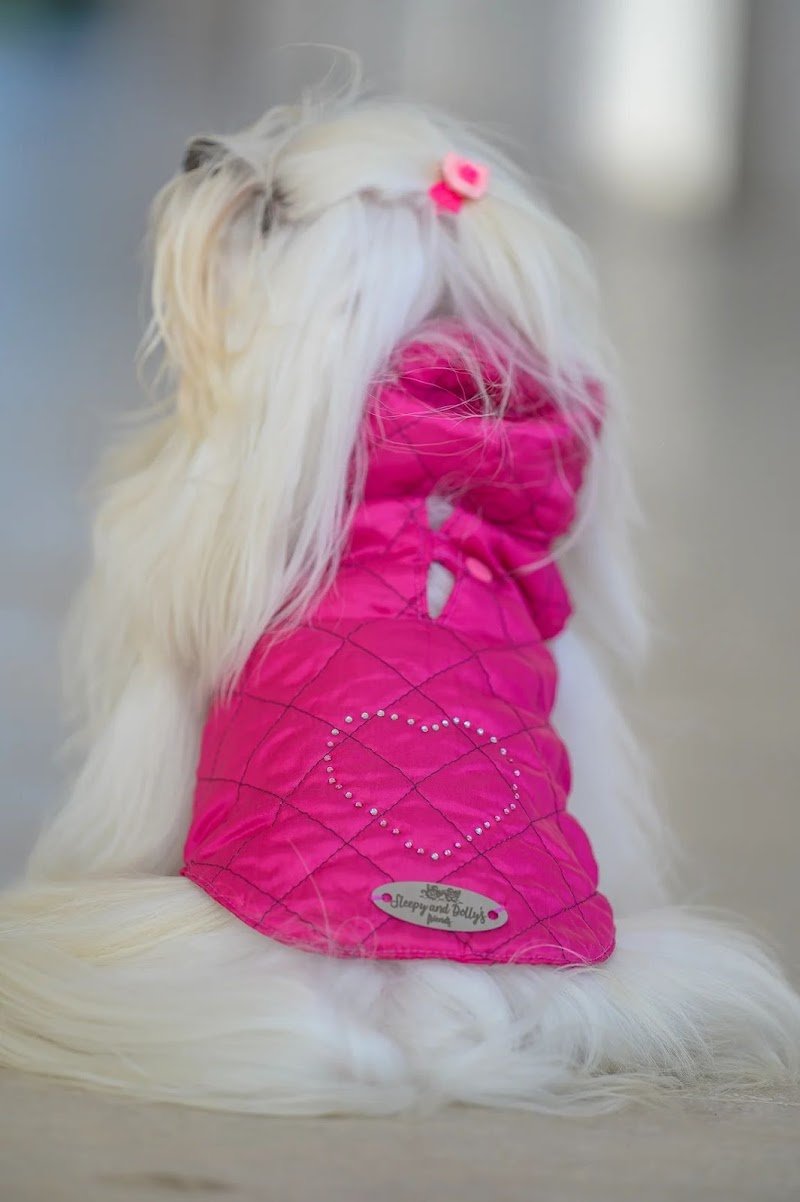 Sleepy and Dolly's Friends - Foto 4