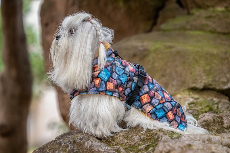 Sleepy and Dolly's Friends - Foto 5