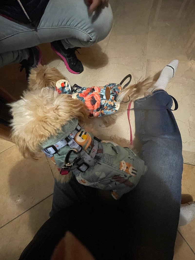 Sleepy and Dolly's Friends - Foto 6