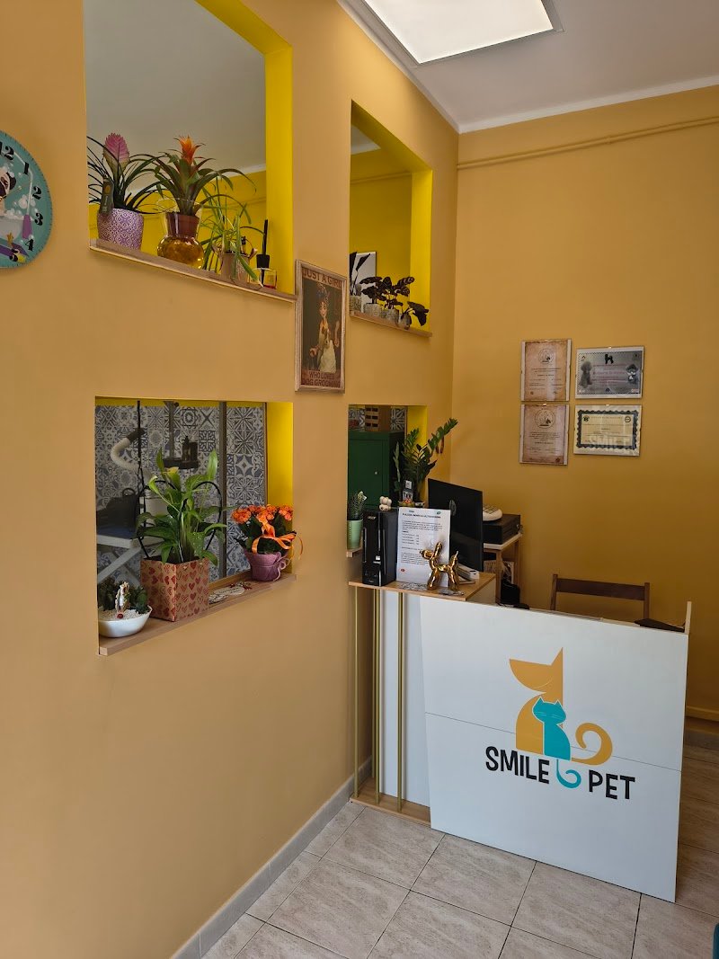 Smile Pet - Foto 1