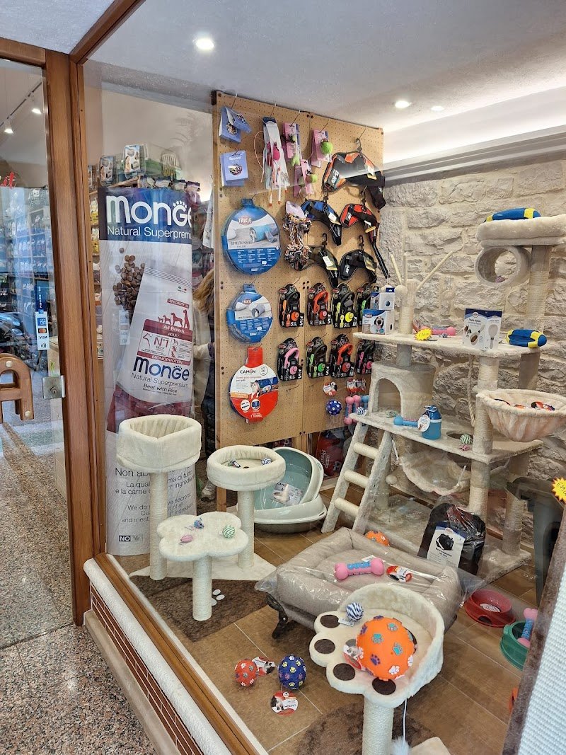 SmilePet.it - Foto 6