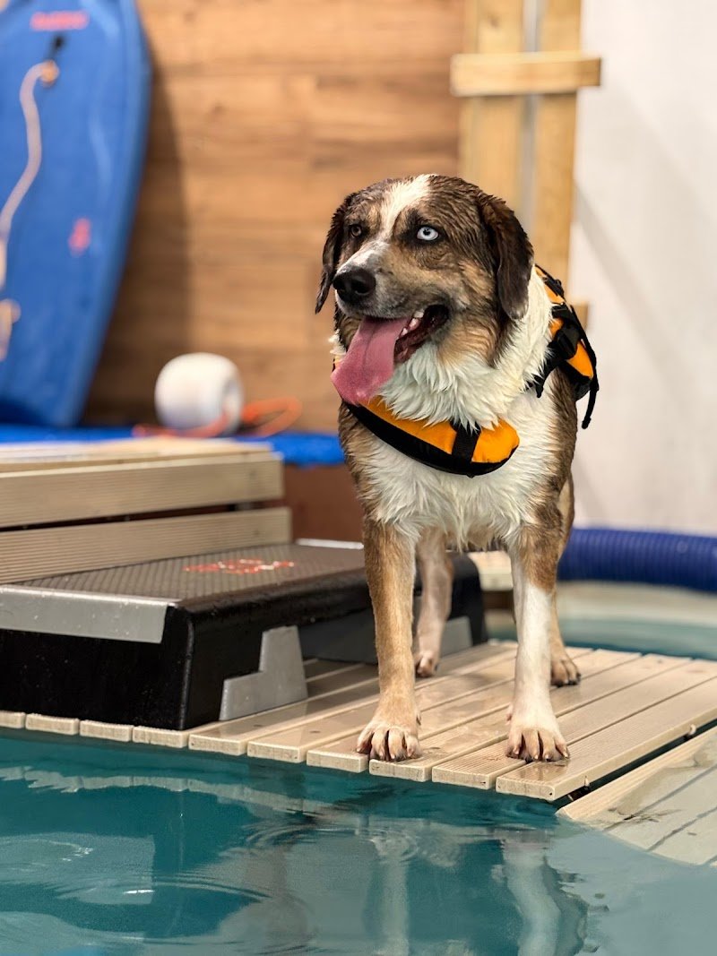 Snug Dog Center - Foto 1