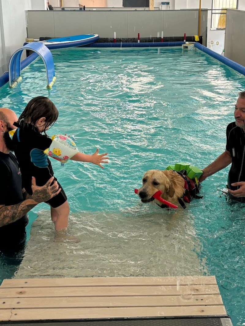 Snug Dog Center - Foto 6