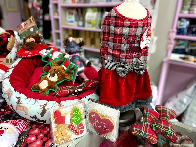 Sogni di Cuccia - Foto 5