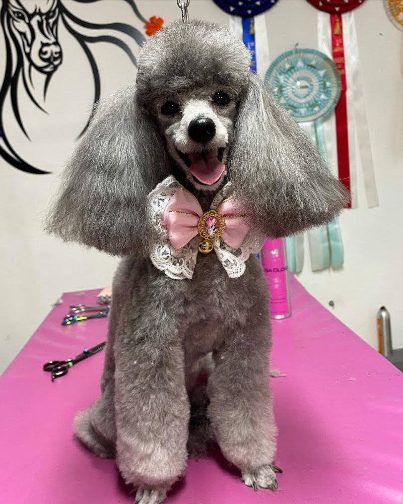 Sonia's Beautiful Dog - Foto 2