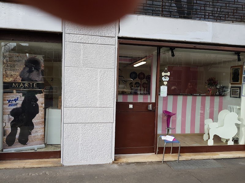 Sonia's Beautiful Dog - Foto 4