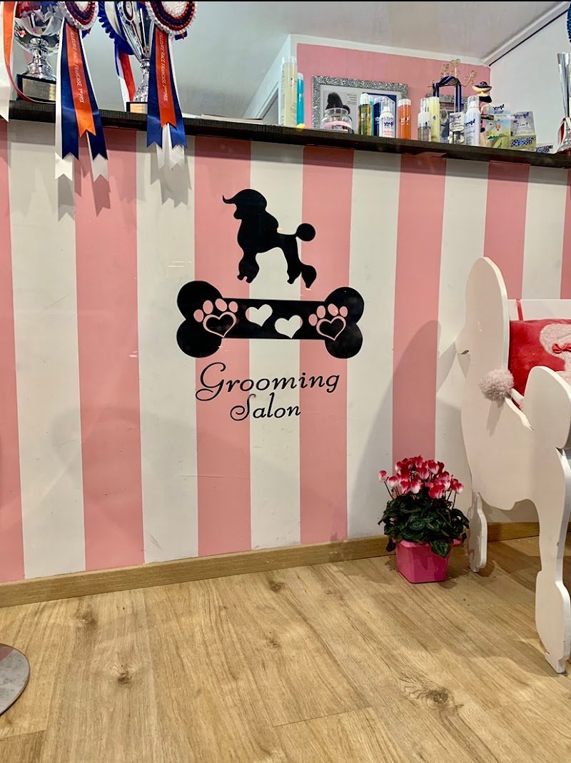 Sonia's Beautiful Dog - Foto 5