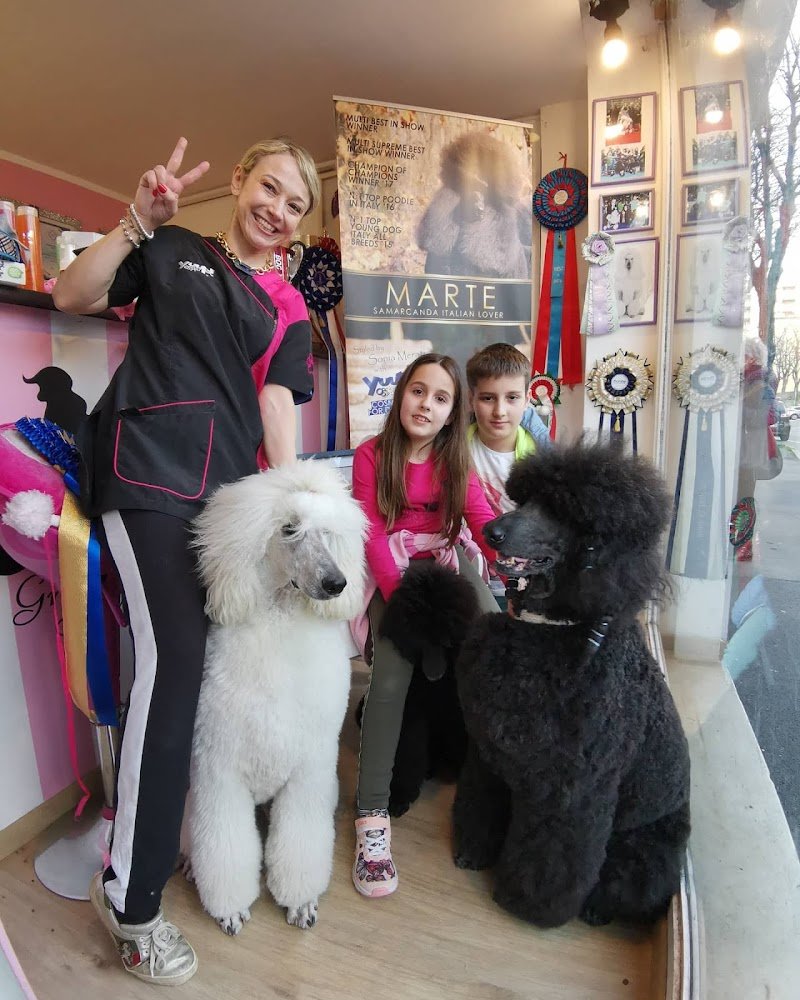 Sonia's Beautiful Dog - Foto 6