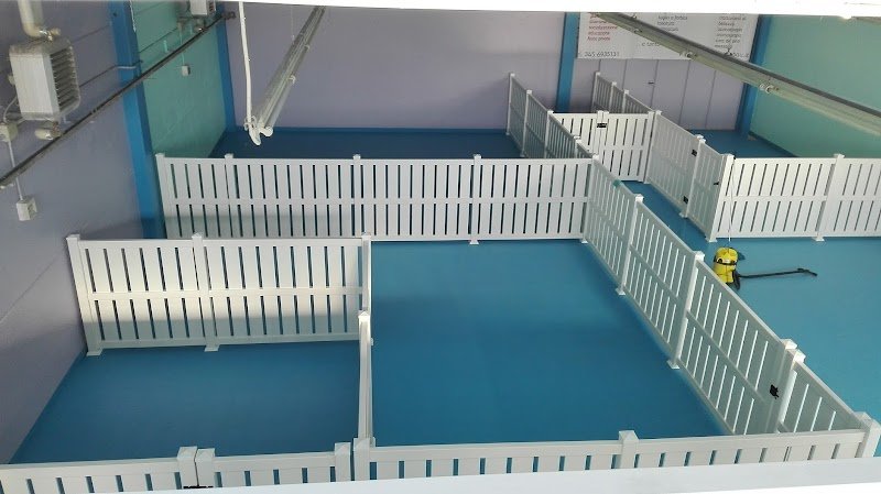 SPA...ssosissimo BAU - Asilo per cani, Toelettatura e Wellness SPA - Foto 1