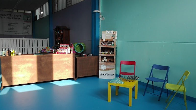 SPA...ssosissimo BAU - Asilo per cani, Toelettatura e Wellness SPA - Foto 5