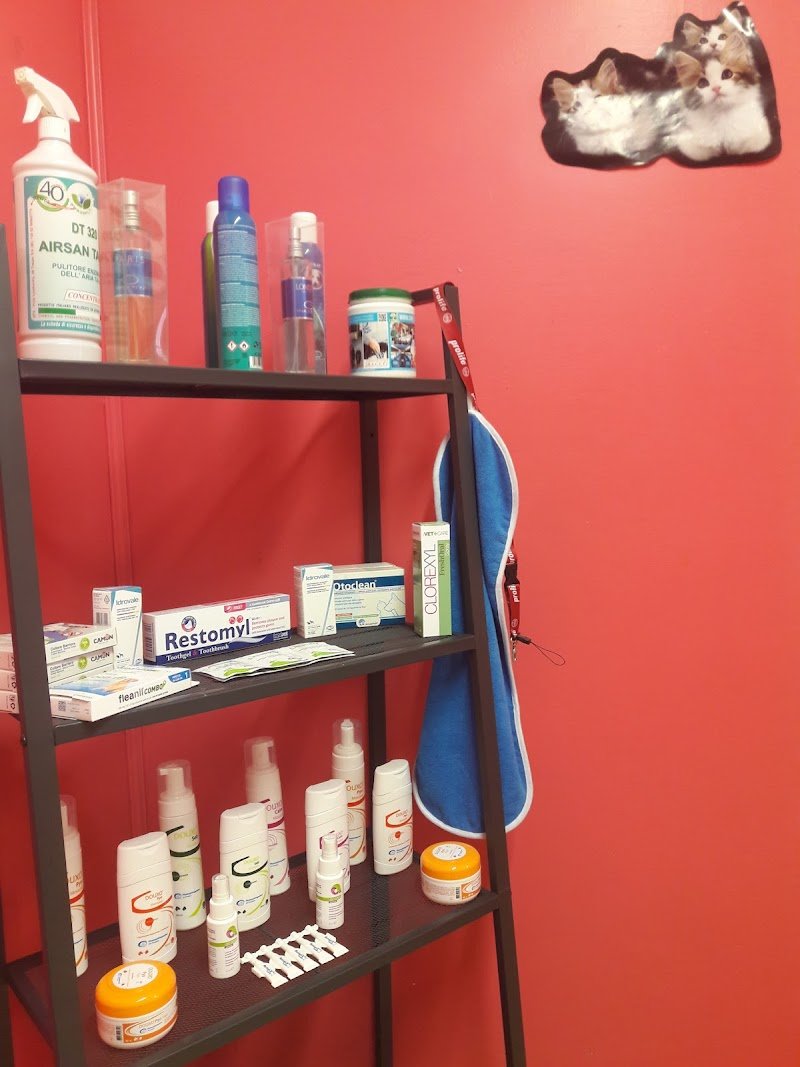 Spazzole E Coccole Di Cannizzaro Fichera Daniele - Foto 3