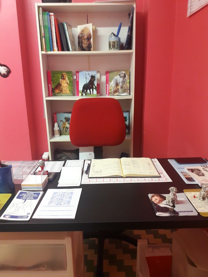 Spazzole E Coccole Di Cannizzaro Fichera Daniele - Foto 4