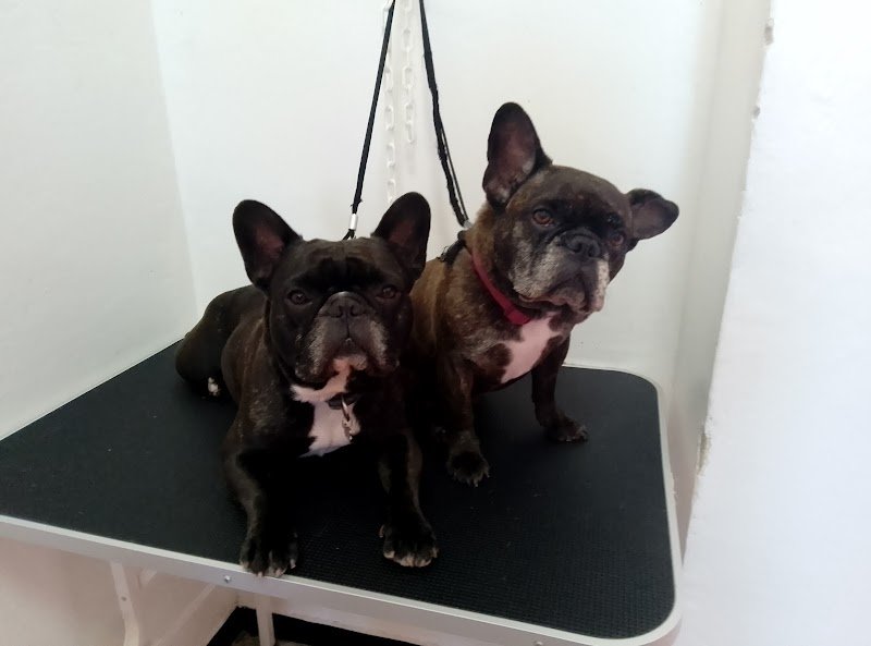 spettinati di Nizza Monferrato - Foto 1