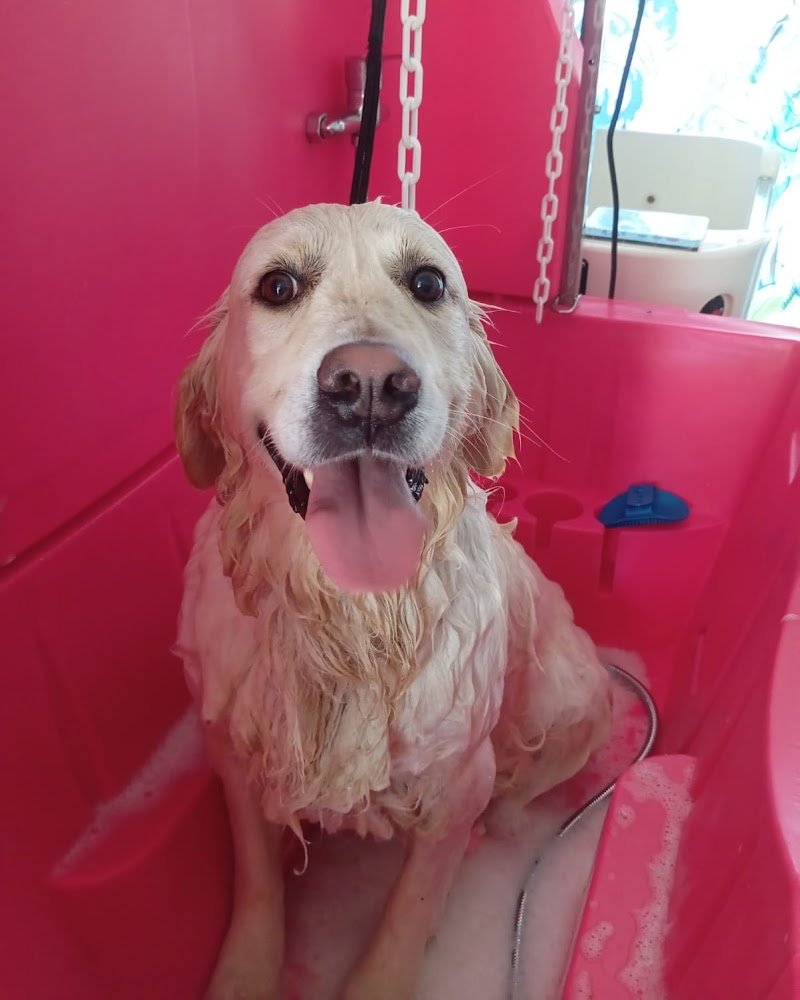 spettinati di Nizza Monferrato - Foto 3