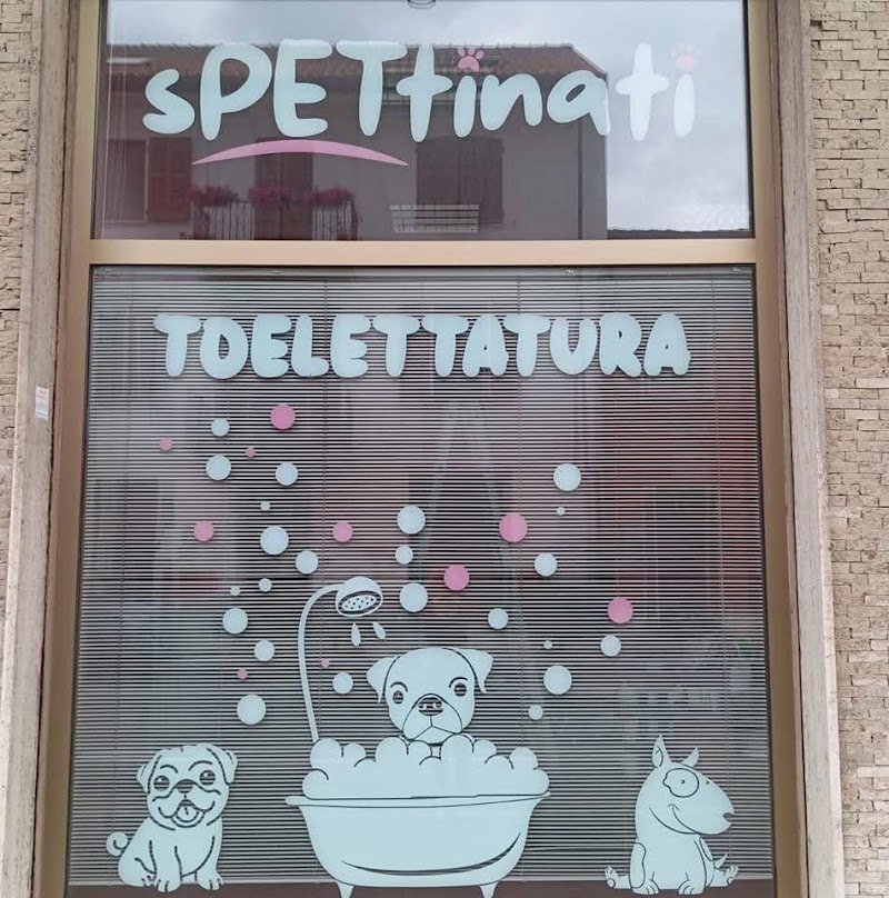 spettinati di Nizza Monferrato - Foto 4