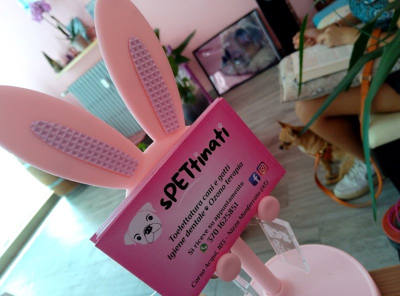 spettinati di Nizza Monferrato - Foto 5