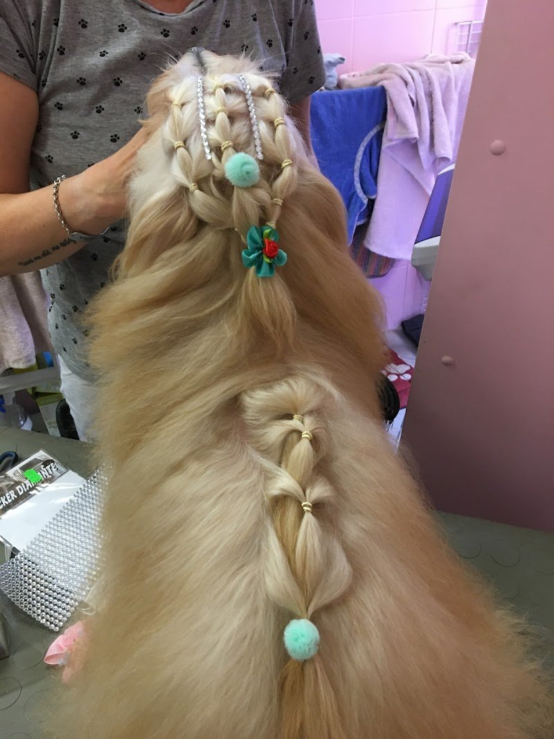 Spoiledog toeletta per cani viziati - Foto 2