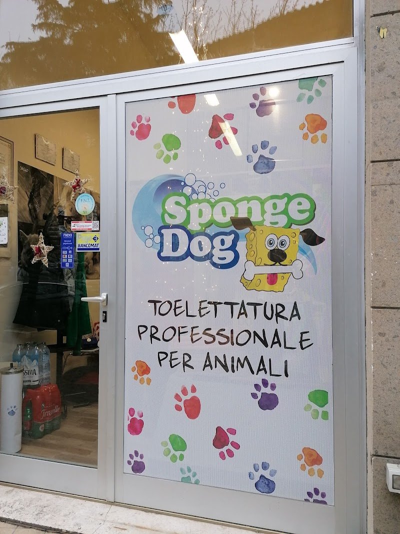 SPONGE DOG TOELETTATURA - Foto 5