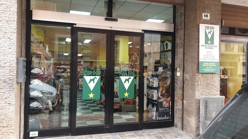 Star Dog Di Masia Silvana - Foto 1