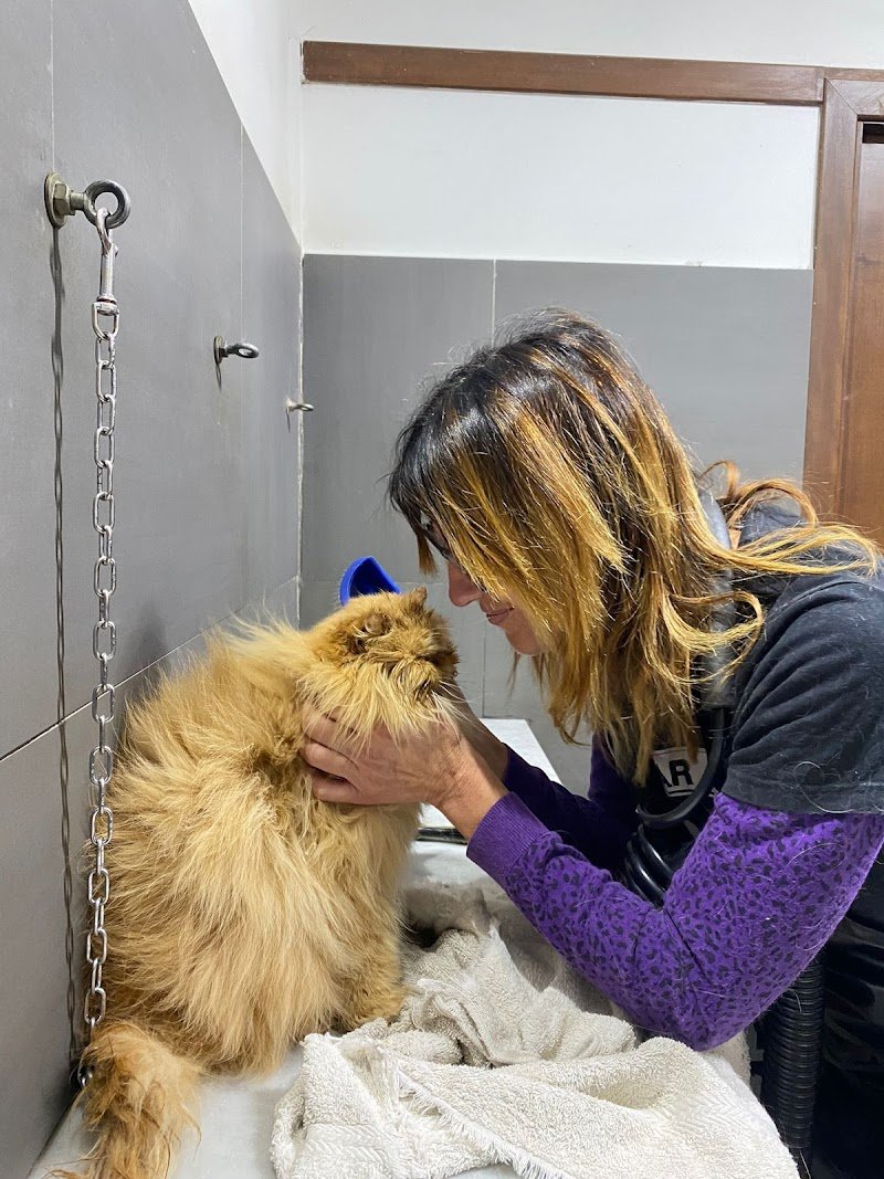 Stardogs Beauty Salon - Foto 6