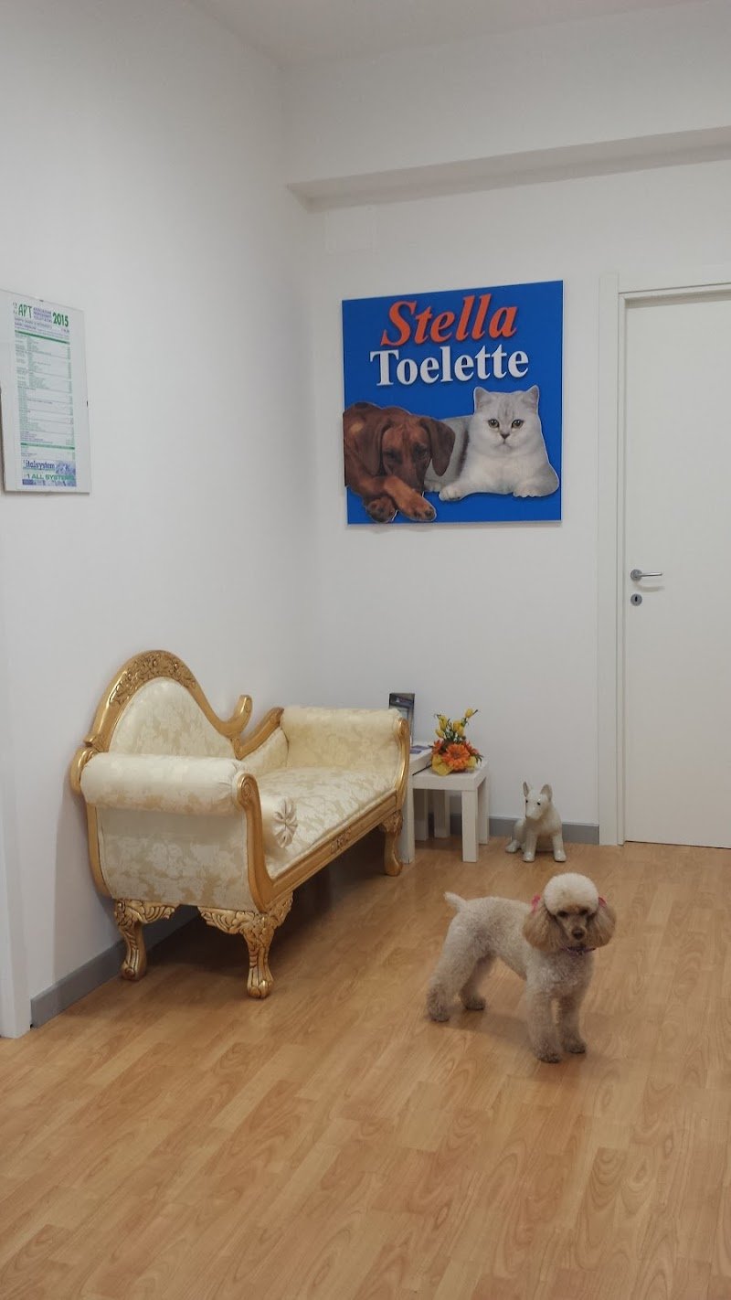 Stella Toelette - Foto 4