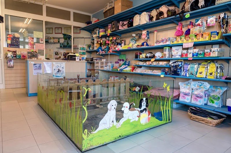 Stelle a 4 Zampe - Foto 1