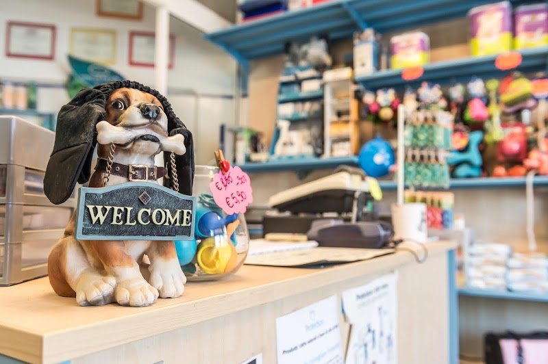 Stelle a 4 Zampe - Foto 2