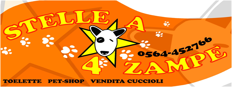 Stelle a 4 Zampe - Foto 5