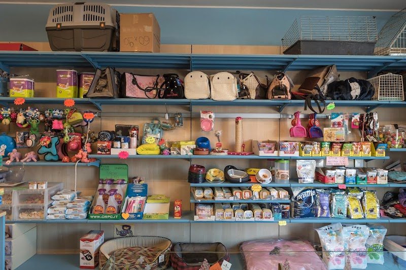 Stelle a 4 Zampe - Foto 6