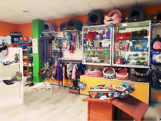 Stelle a 4 Zampe - Toelettatura - Pet Food - Alimentazione per Cani - Collari - Foto 1