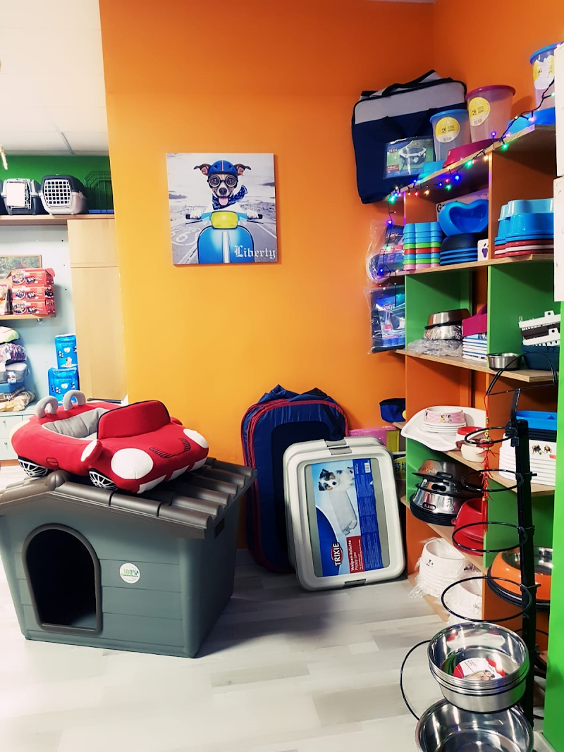 Stelle a 4 Zampe - Toelettatura - Pet Food - Alimentazione per Cani - Collari - Foto 3